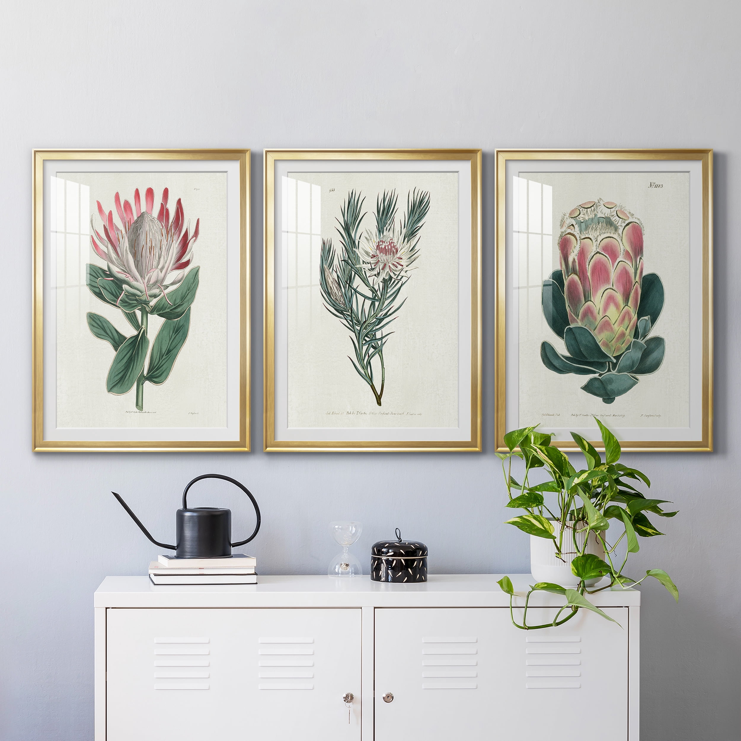 Protea N13 Premium Framed Prints Set of 3 - Ready to Hang - 30.5 x 42.5 Each - Gold Frame