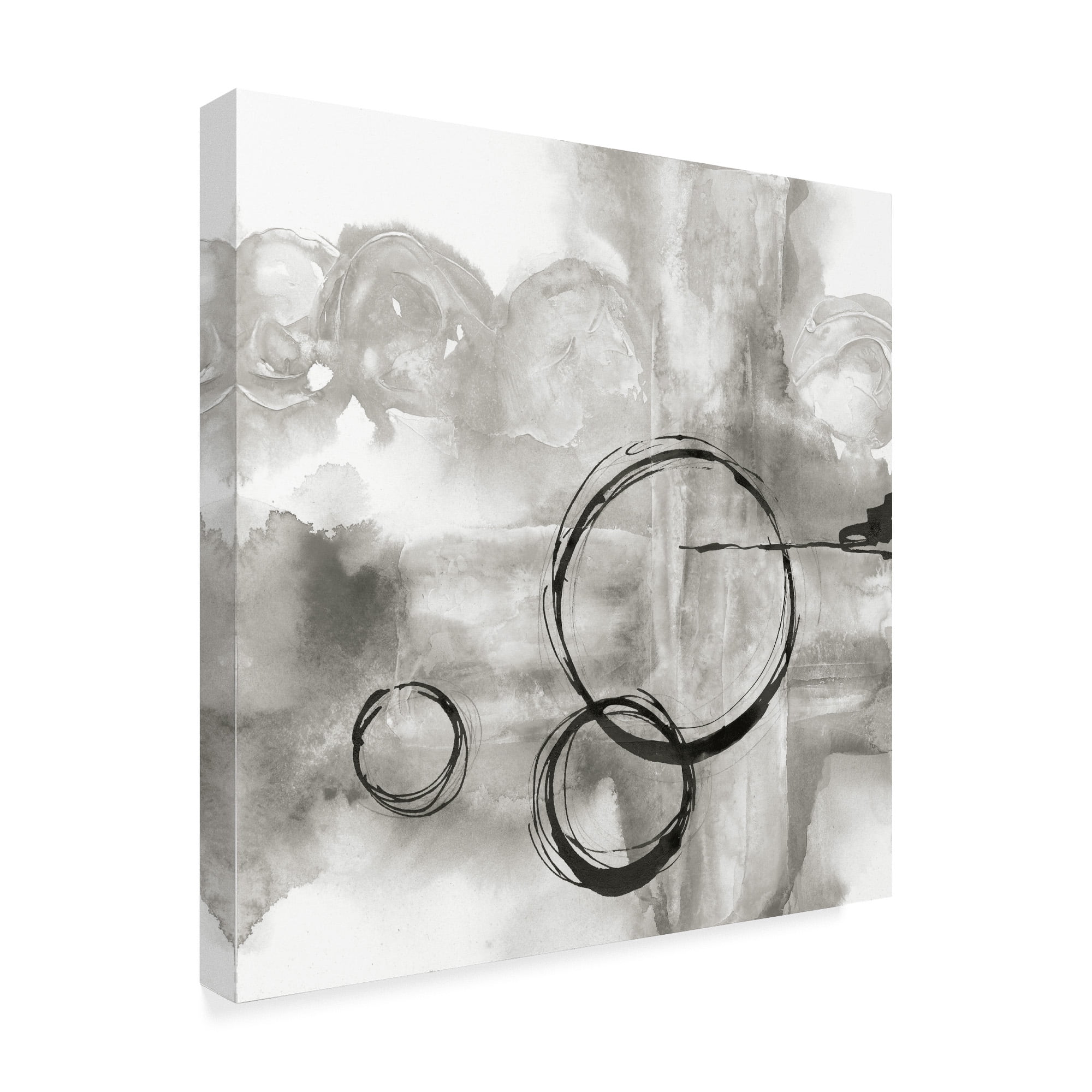 Trademark Fine Art 'Full Circle II Gray' Canvas Art by Chris Paschke