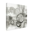 thumbnail image 2 of Trademark Fine Art 'Full Circle II Gray' Canvas Art by Chris Paschke, 2 of 3