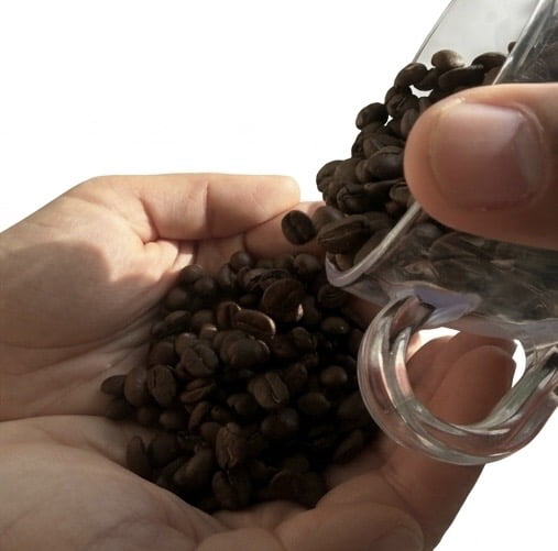 BravePro Specialty Coffee Beans 12oz, 100% Arabica Medium Roast, Premium  Coffee