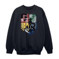 thumbnail image 1 of Harry Potter Boys Hogwarts Houses Sweatshirt, 1 of 6