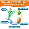 thumbnail image 4 of Chew No Poo - Coprophagia Treatment for Dogs - Prevent Dog Poop Eating - Natural Stool Eating Deterrent + Breath Aid - Probiotics & Digestive Enzymes - Boosts Gut Health - Made in USA - 120 ct, 4 of 9
