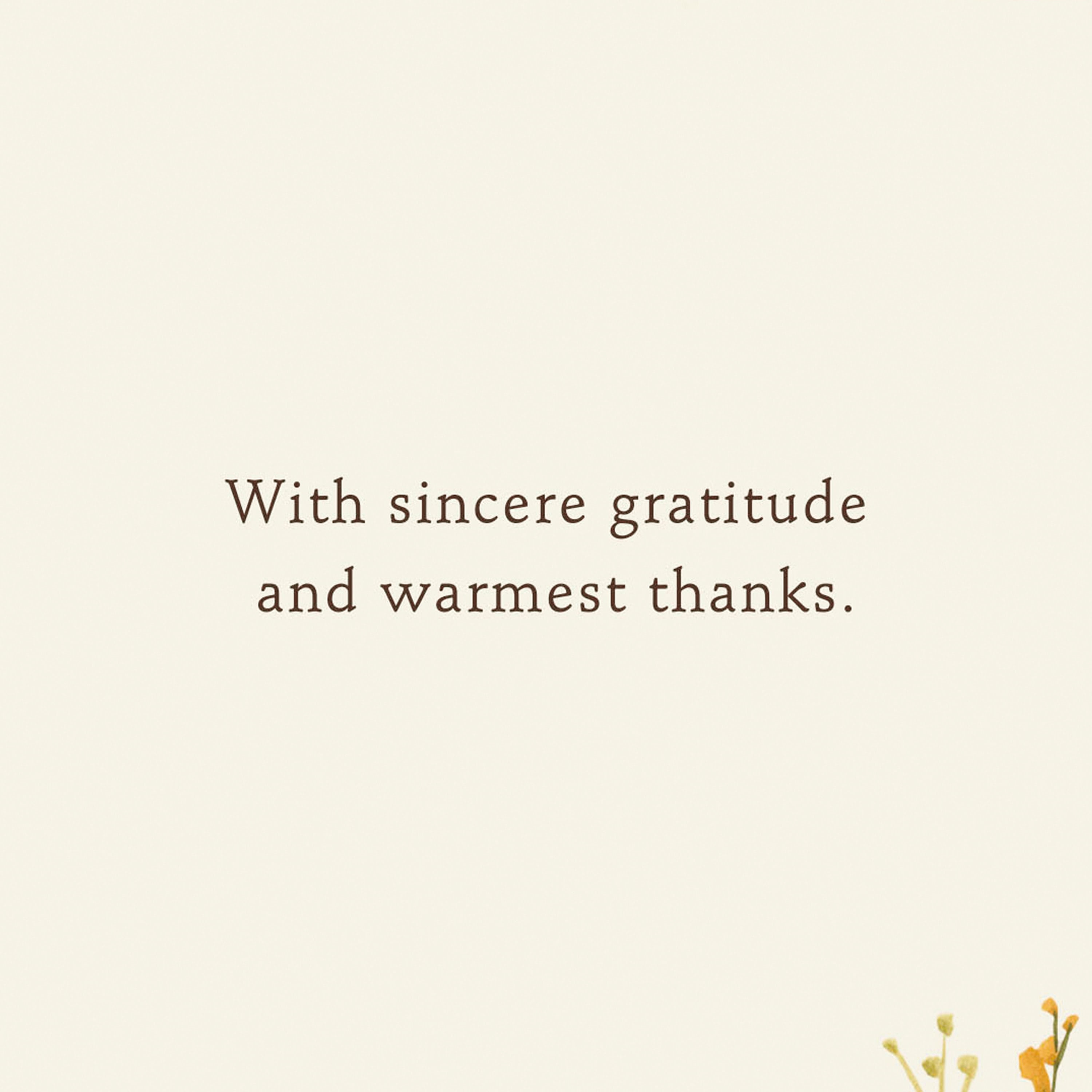 Hallmark Just Because Thank You Card (Sunny Wildflowers)