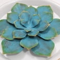 thumbnail image 2 of Succulent Bleu et Vert sur Fond Plat Rond, 2 of 3