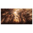 thumbnail image 2 of Picturesque Forêt d'Automne - Impression sur Toile Photographie de Paysage, 2 of 3