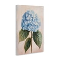 thumbnail image 2 of Stupell Industries Cottage Baby Blue Hydrangea Canvas Art, 20 x 30, by Petals Prints Design, 2 of 8