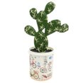 thumbnail image 1 of Planta de simulación de bonsái de plástico, planta de flor artificial de bonsái de cactus tropical, 1 of 5