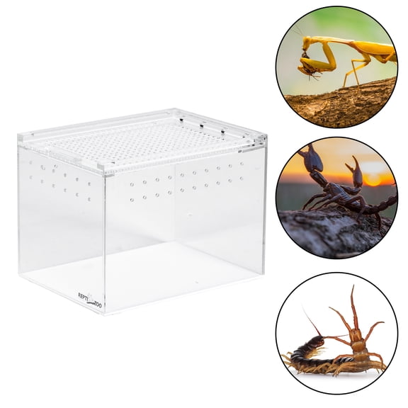 REPTI ZOO Caja Magnética de Acrílico para Reptiles, 15cm x 20cm x 15cm, Caja de Cría de Reptiles, Jaula de Terrario para Tarántula, Escorpión, Isópodos, Cucaracha, Invertebrados, Insectos y Mantis REPTI ZOO Mini terrario de acrilico