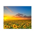 thumbnail image 1 of MesaSe 5D Diy Paintings Sti Cross Rhinestone Painting Pasted  Embroidery Home Diy, 1 of 6