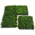 thumbnail image 3 of Greenery Panel 12 Pack - Indian Aster, 3 of 5