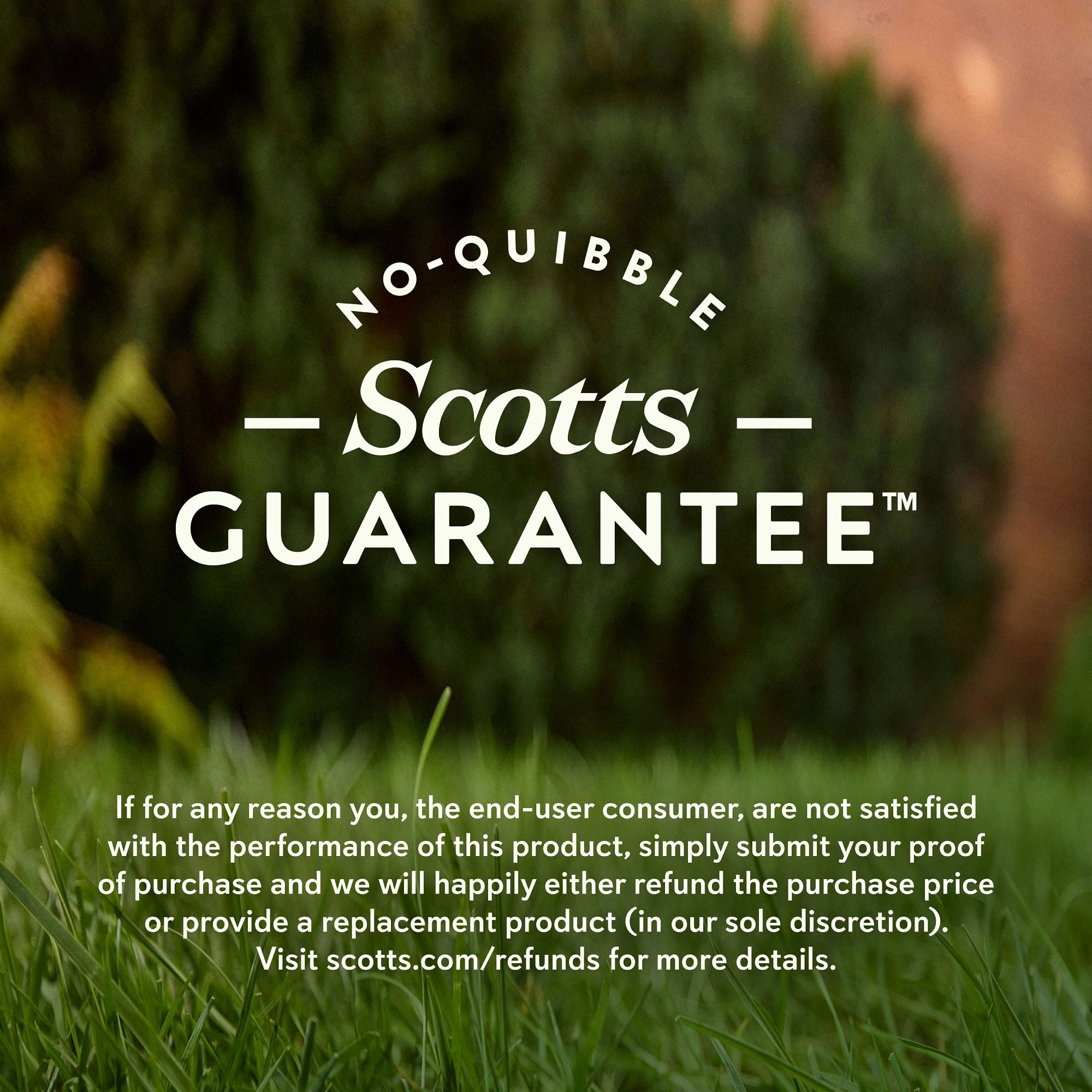 O.M. Scott and Sons Tall Fescue Blend Grass Seed, Naturally Crowds Out Weeds, 8 lbs.