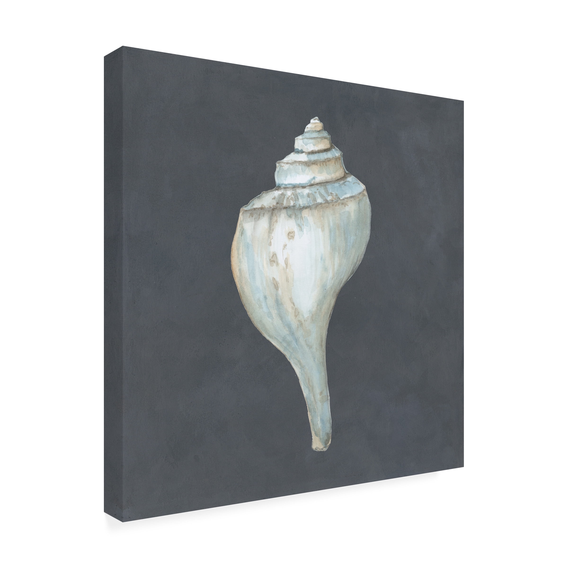 Megan Meagher 'Shell On Slate IV' Outdoor Canvas 18x18