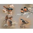thumbnail image 2 of Weenink, Jan 14x12 White Modern Wood Framed Museum Art Print Titled - Bird composition, 2 of 4