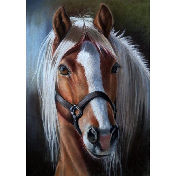 Taladro cuadrado completo 5D DIY diamante pintura caballo punto de cruz trabajo hecho a mano decoración del hogar Hugtrwg Para estrenar