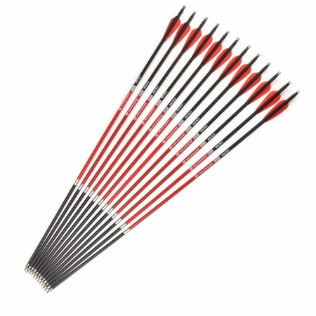 12PCS Carbon Arrow 30