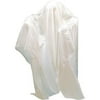 Hovering Ghost Prop