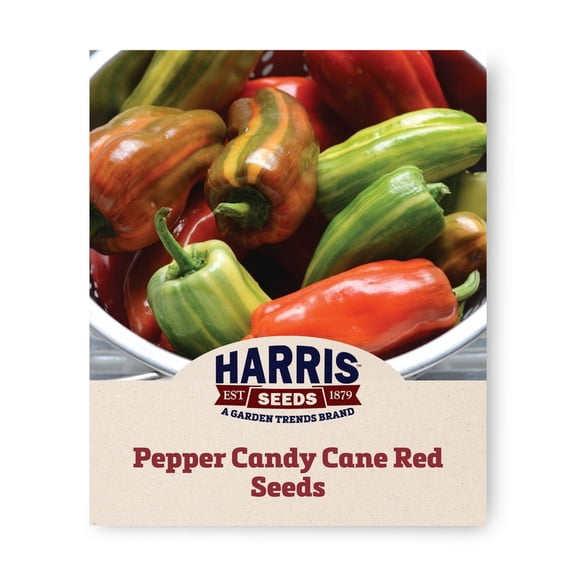 Harris Seeds Candy Cane Red F1 Sweet Pepper, Variegated Ornamental Edible Pepper Variety, Non-GMO, 50 Count