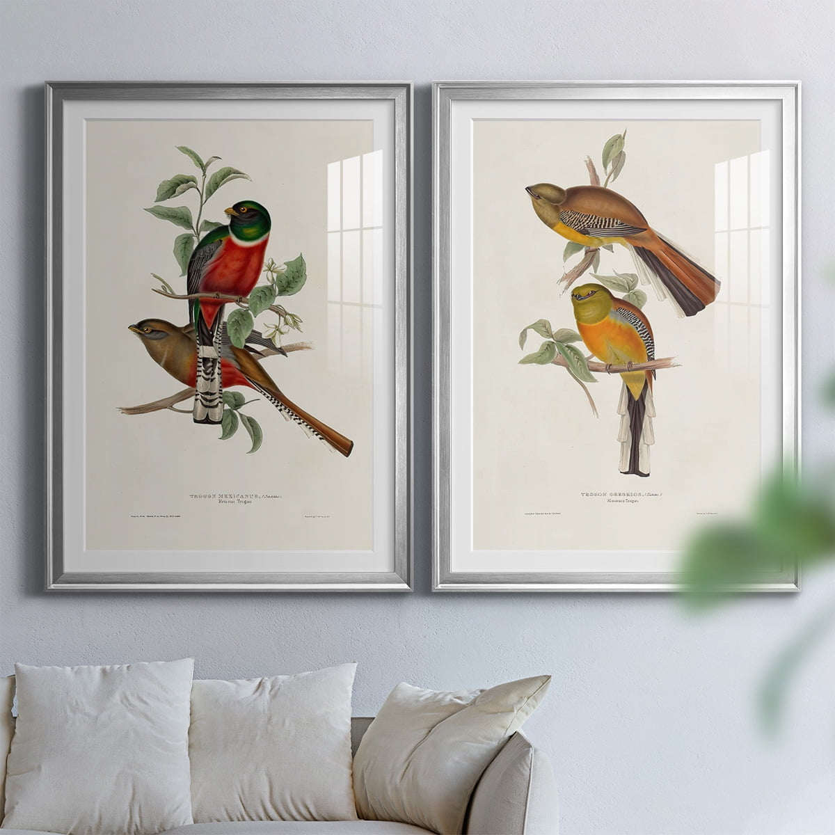 Wexford Home Elegant Trogons I Premium Framed Print, 30.5" x 42.5" - Ready to Hang, Silver (Set of 2)