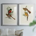 thumbnail image 6 of Wexford Home Elegant Trogons I Premium Framed Print, 30.5" x 42.5" - Ready to Hang, Silver (Set of 2), 6 of 9