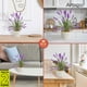 thumbnail image 5 of Planta artificial moderna Artego con maceta decorativa Lavanda Compacta Pack de 2 unidades 34cm de alto, 5 of 9