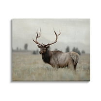 Stupell Industries Tranquil Elk Deer Grazing Rural Farmland Field Photograph Gallery Wrapped Canvas Print Wall Art, Design by Danita Delimont