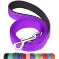 thumbnail image 1 of FunTags 4FT Reflective Dog Leash with Soft Padded Handle for Training,Walking Lead for Medium & Small Dogs,3/4 Inch Wide,Purple, 1 of 7