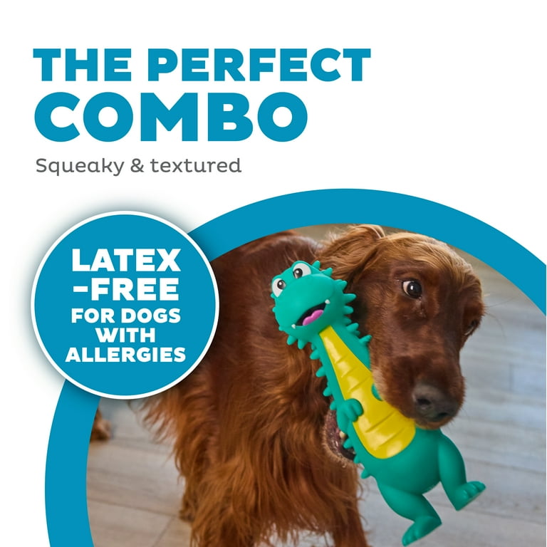 Outward Hound Big Squeak Latex Free Dino Trq MD - Walmart.com