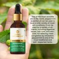 thumbnail image 4 of Khadi Organique Peppermint Essential Oil for Anti-Acne & Stress Relief | Calming & Soothing - 15 ml, 4 of 5