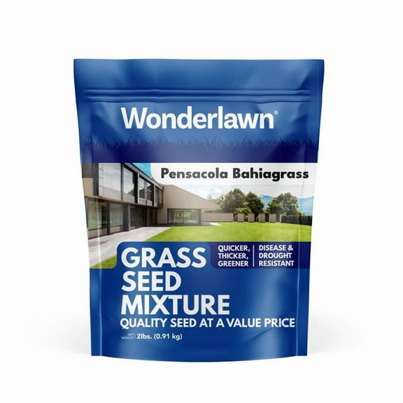 Barenbrug Wonderlawn Pensacola Bahia Grass Seeds, 2 lb - Full Sun Lawn Seed Blend