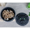 thumbnail image 5 of Celtic Pentagram Knotwork Black Cat With Rolling Green Eyes Round Decorative Box, 5 of 7