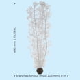thumbnail image 3 of biOrb Extra Large White Sea Fan, 3 of 6