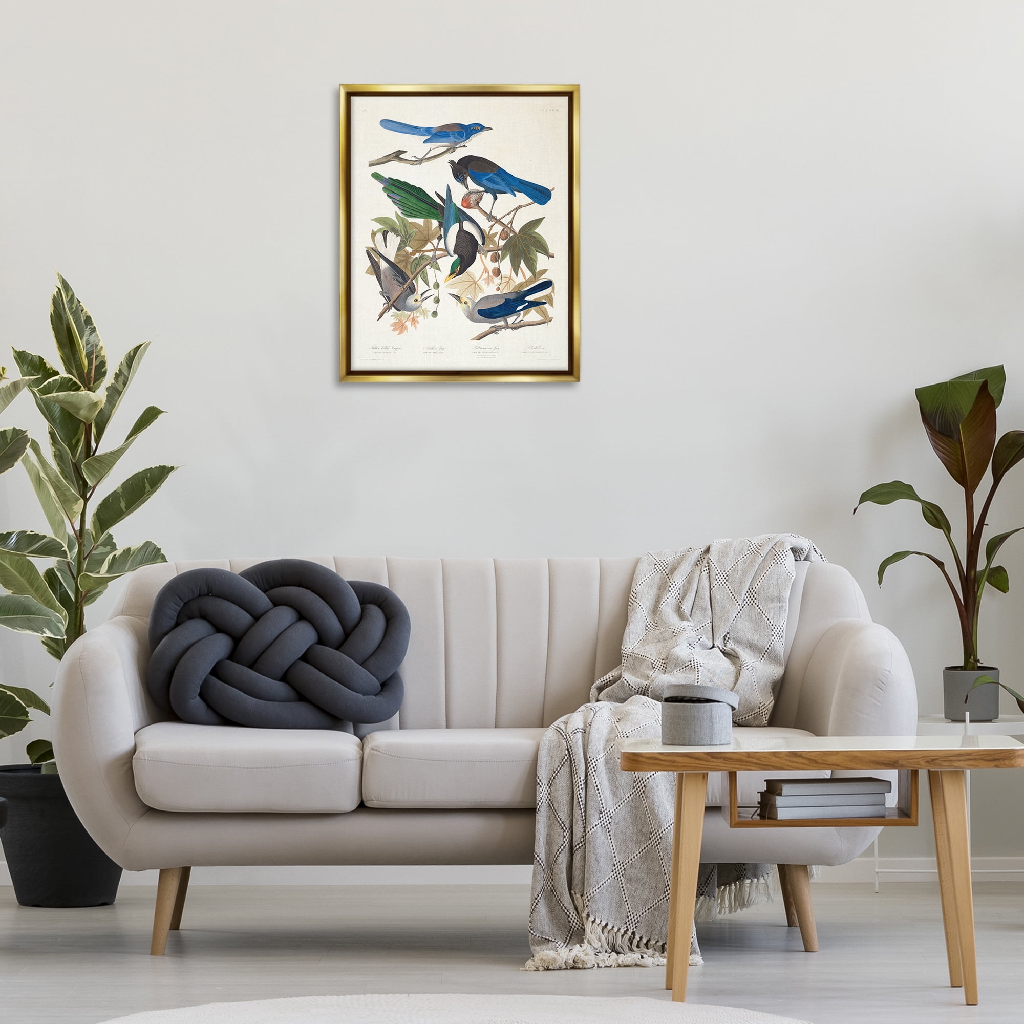 Stupell Industries Classic Yellow Billed Magpie Animals Painting Gold Floater Framed Canvas Art Print Wall Art, 25 x 31