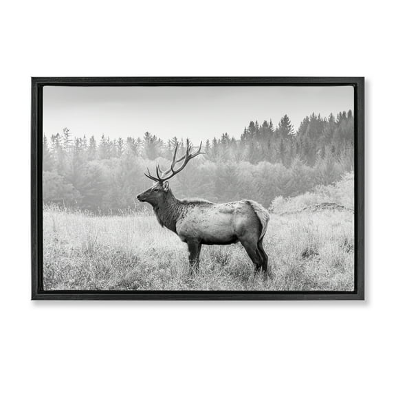 Stupell Industries Stoic American Elk Landscape & Nature Photography Black Floater Framed Canvas Art Print Wall Art, 25 x 17