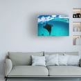 thumbnail image 3 of Barathieu Gabriel 'A Reef Manta Ray In Mayotte' Canvas Art, 3 of 3