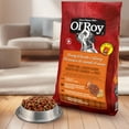 thumbnail image 3 of Ol'Roy Meaty Chunks and Gravy Savoury Pork & Chicken Flavours Dry Dog Food 18kg, 3 of 7