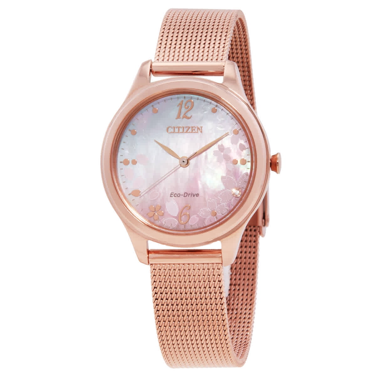 Citizen Ladies Eco-Drive Classic Watch - Silver Coin-Edge Bezel & Roman Numeral Dial, No Battery Needed