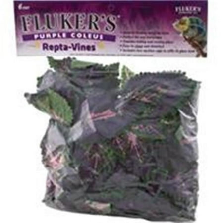 UPC: 0091197510168 | Fluker s Purple Coleus Repta-Vines  6