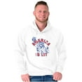 thumbnail image 4 of Statue of Liberty America is Lit Joke Hoodie Sweatshirt Women Men Brisco Brands M, 4 of 6