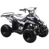 Youth ATV by FamilyGoKarts Black 3050C Kids ATV