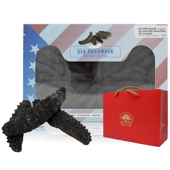 DOL Wild Caught,Sun Dried Atlantic Black Pin Sea Cucumber All Natural Nutritious Medium 1lb box