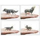 thumbnail image 4 of Wolf Animal Model Animal Zoo Farm Model Toy Para Educación+Juego De 6 Piezas De De Chimpancé Realistas Para A Partir De 3 Años CUTICAT none, 4 of 8