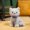 Gray, variant on Delicate Cute Lifelike Kitten Plush Toys Fluffy Sitting Pose Ribbon Bow Cat Doll Lovely Desktop Pets Pretty Girls Gift