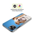 thumbnail image 2 of Head Case Designs Popular Dog Breeds English Bulldog Hard Back Case Compatible with Apple iPhone 14 Plus, 2 of 7