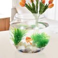 thumbnail image 4 of Miangastore Bol à Poisson en Plastique Petit Bac à Poisson Bac à Poisson de Bureau Bol à Poisson Rond Transparent, 4 of 8