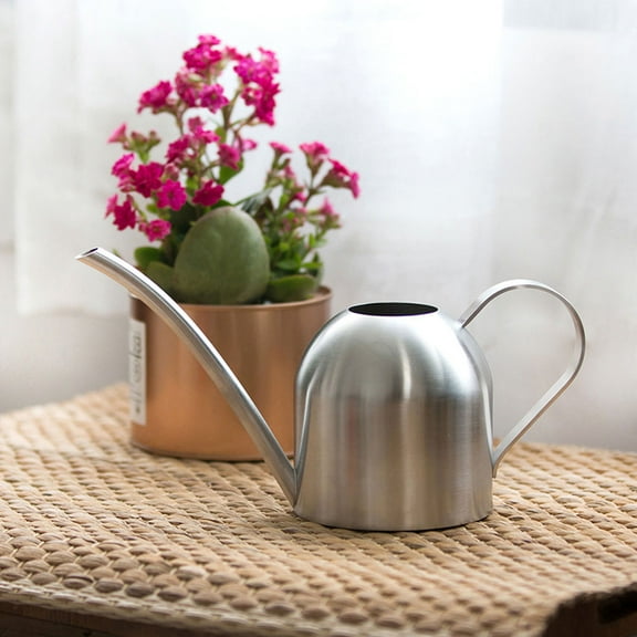 NICEXMAS 1Pack Long Spout Watering Can Stainless Steel for Efficient Garden Watering