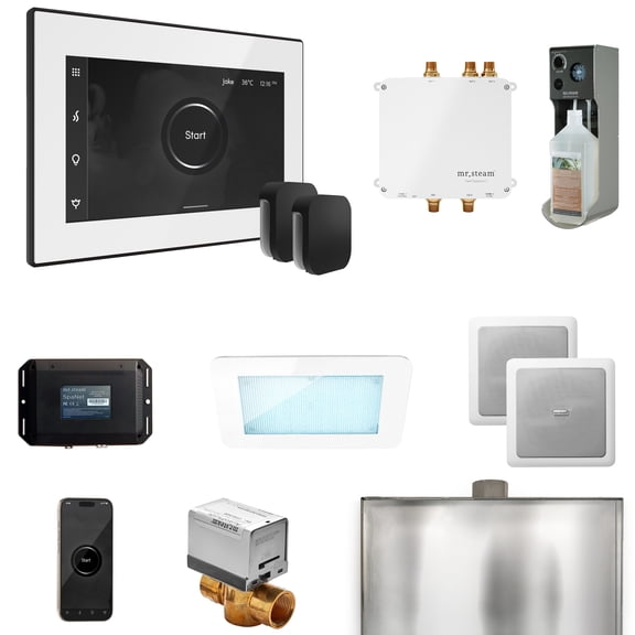 Mr Steam Bliss Max Steam Shower Ctrl Pkg w/iSteamX Control and Steamhead in White Matte Black