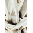 thumbnail image 2 of Artographie Studio 11x14 Gold Ornate Wood Framed with Double Matting Museum Art Print Titled - Plant close up 1, 2 of 4