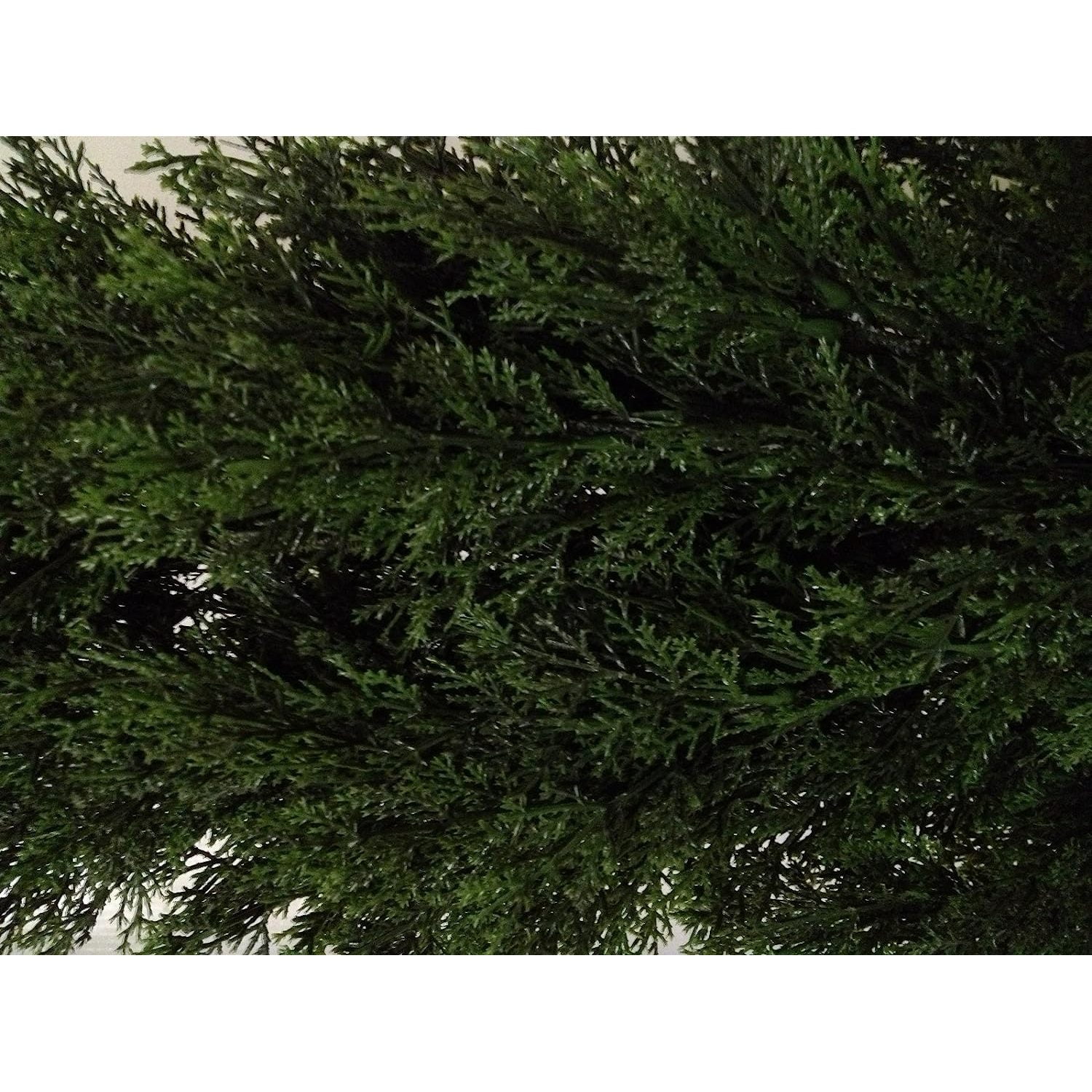 Two 3 Foot Artificial Cedar Topiary Trees Potted Indoor or Outdoor