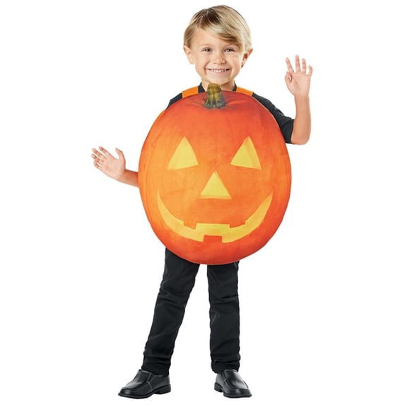 Pumpkin Kid's Costume