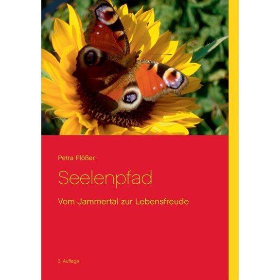 Seelenpfad: Vom Jammertal zur Lebensfreude, (Paperback)
